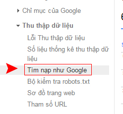 tim-nap-va-hien-thi-google